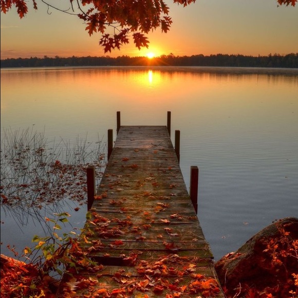 Meet your Posher, Melissa - Picture 1 of 1